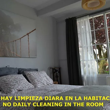 Estudio A 5 Min Guggenheim *